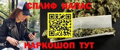 СК Пенза