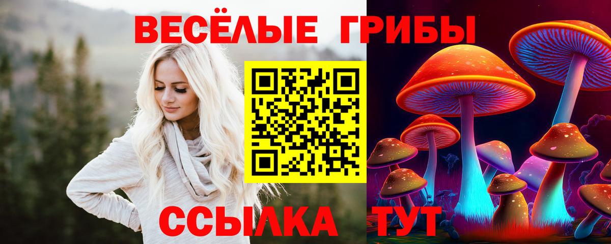 Евпатория  Галлюциногенные грибы Psilocybe  Вход с VPN  Галлюциногенные грибы MAGIC MUSHROOMS 